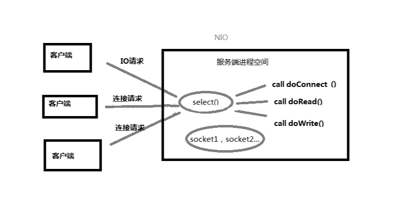 bio-nio